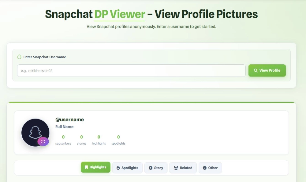 Snapchat DP Viewer on Storiewer